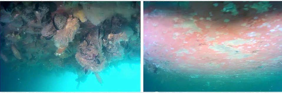 rov cleaning beforeafter