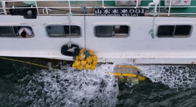 why-choose-us ROV Cleaning Vessel Side 2